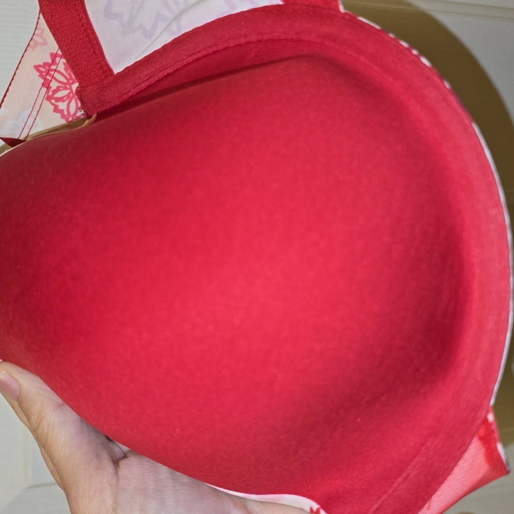 Ambrielle Patterned Bra 40d - image 4